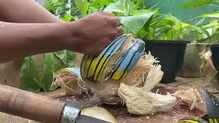 How to open a coconut at home easily 2nd  review