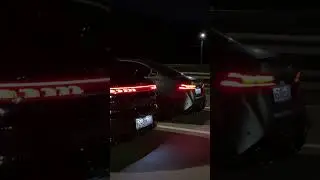 Yangwang U7 vs BMW M5 G90 vs Zeekr 001 rest #zeekr #bmwm5 #yangwang