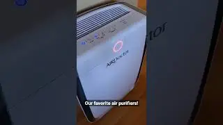 Our Favorite Air Purifiers! #shorts