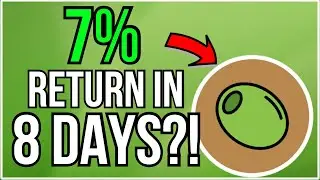 FARMS And POOLS Return on OliveCash | 7% in 8 Days?!
