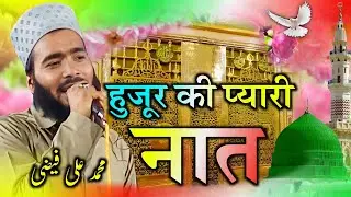 हुजूर की प्यारी नात | Unki Jali Wo Sama Aur Wo Roza Unka | Mohammad Ali Faizi | ##kalim_network
