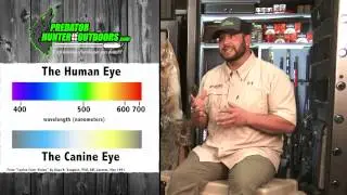 Night Hunting Tip