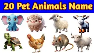 Animals Name | Pet Animals Name with pictures | Domestic Animal name | पालतू जानवर के नाम | Janwar
