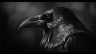 #FREE Angry Dark Piano Type 