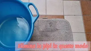 Come rimuovere le macchie di pip&igrave; del vostro amico a quattro zampe 🐶 | MAMMASTYLE.IT |