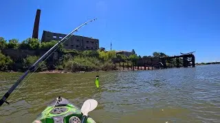 pescando y cocinando en el rio, bogas asadas, aventura en kayak y Cano bote, pesca de barrio