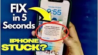 &rdquo;Home&rdquo; Would Like to Send You Critical Alerts iPhone Problem | Turn Off Critical alerts on iPhone