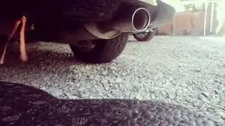 Pasi&oacute;n por los autos