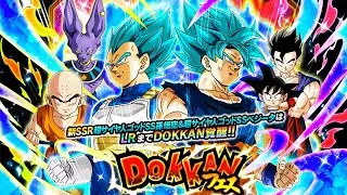 LR SSBKK GOKU & SSBE VEGETA DOKKAN FESTIVAL BANNER SUMMONS! Dragon Ball Z Dokkan Battle