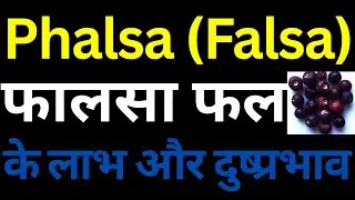 फालसा ( Phalsa / Falsa ) फल के लाभ और दुष्प्रभावWellness Ka Gyaan