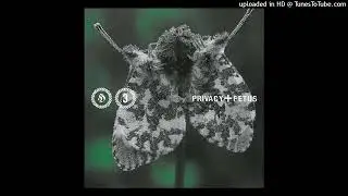 PRIVACY + FETUS &mdash; Sanzu-Fluss