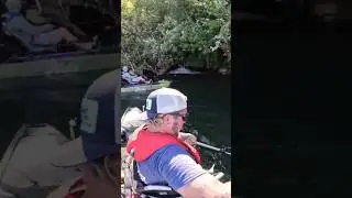 Крупные басы выступают в этом крошечном водосбросе.