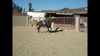 Baltizar and Zoe 11-24-12