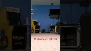 ghost sighting! 👻😱 #dog #pug #cute #funny #ghost #scary #pets #fyp #shorts #cutedog