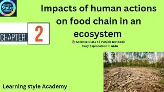 🌍 Impacts of Human Actions on Food Chain | Class 4 Science Ch 2 | Punjab Textbook