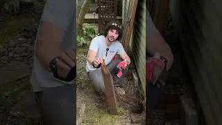 Posts always rot at ground level.