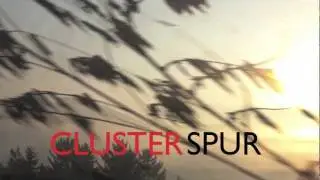Andr&aacute;s Hamary: Clusterspur