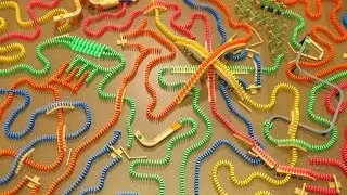 The Amazing Domino Race 1! 🏁