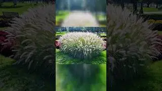 Facts About Nature You Didn't Know Part 16