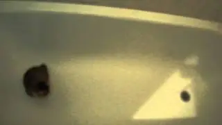 M4H01696.MP4