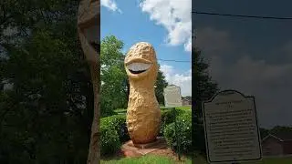 Smiling Peanut  #jimmycarter #bigsmile #roadtrip #shorts #viralshorts