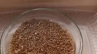 E4F1AC1E 2F74 4D35 819A 0B751BE8406C