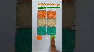 Guess the flag! Art video #color #flagart #drawing