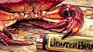 multitool gadgets with lighter/amazon gadgets @MaviGadgets @SmartHomeGadgetsofficial