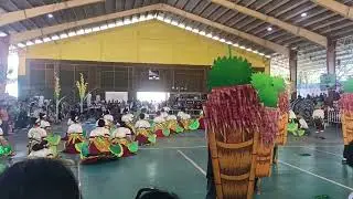 BICOS NATIONAL HIGH SCHOOL -12th Palay Festival🌾🌾