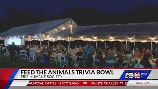 Erie Humane Society hosts annual Feed The Animals Trivia Bowl