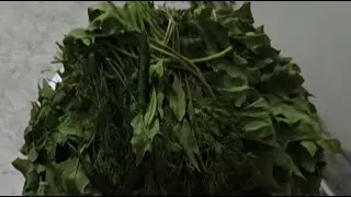 Palak ki sabji banane ka tarika #livecooking#cooking #recipe