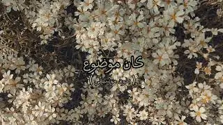 تامر عاشور - كان موضوع ( بدون موسيقى )