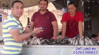 اسعار السمك وانواعه من داخل سوق السمك مصيف جمصه محل (ال ناصر للاسماك) 2021