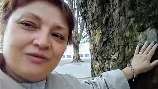 СОВЕТЫ ОТ  NVM📝 О САМОМ ВАЖНОМ ДЛЯ ВАС‼️🙏 LEBENSBERATUNG ESOTERIK -HEILER, GEIST HEILER, TAROLOGIE.