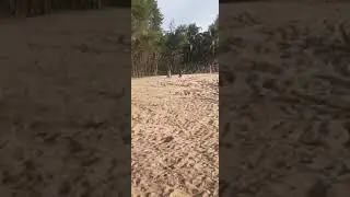 Sandbiking over the seashore
