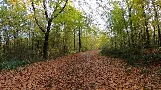 25 minute Autumn Indoor Cycling Workout Ultra HD Video