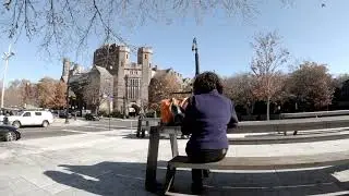 GoPro Hero 8 Test 4K Video: Protune Flat and Native and the Leeming Pro II LUT