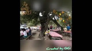 CAMCC AWANA FAMILY CAMPING