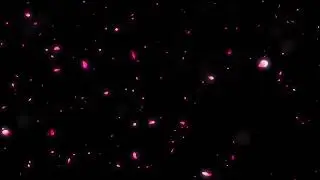 Rose Flowers petals 4K videos after effect overlay