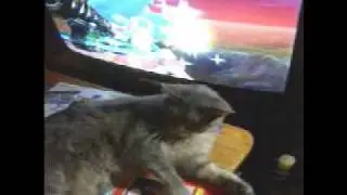 Tazzy TV Episode 1