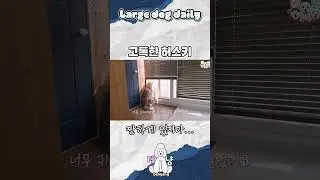 고독한 대형견