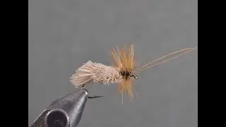 Montage de la Goddard Caddis - mouche sèche