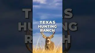 Hunting Ranch for Sale in TEXAS &bull; 10,000 + Acres &bull; LANDIO