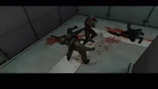 Gray Fox's Hallway of Death