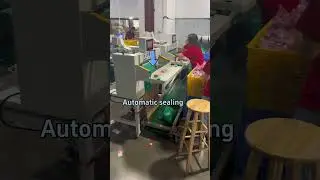 Express packaging machine #asmrsounds #express #packingorders #packing #pack #packagingmachine