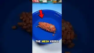 Pro Fishermen Know This Secret Bait Trick!! #lifehack
