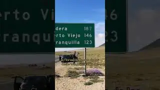 Desierto Florido. El fen&oacute;meno natural m&aacute;s importante del 2022