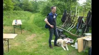 Sommerfest Stapelholmer SG - Bogensparte am 21.05.2016