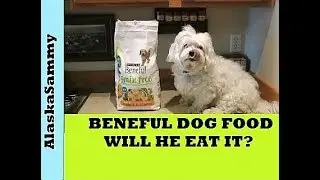 Beneful Dog Food Review