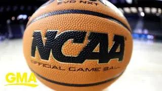 NCAA bars transgender athletes from women's sports